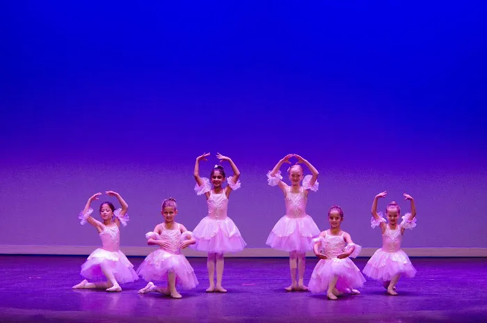 New Orleans Dance Academy Picture 7