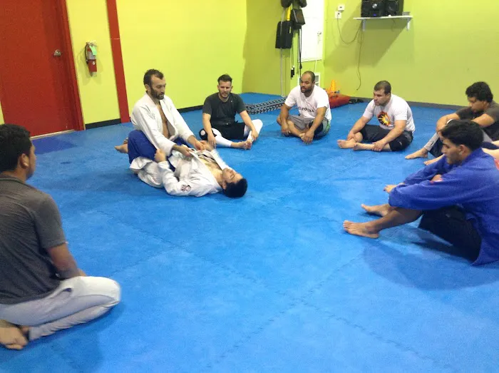 Capoeira New Orleans Picture 5