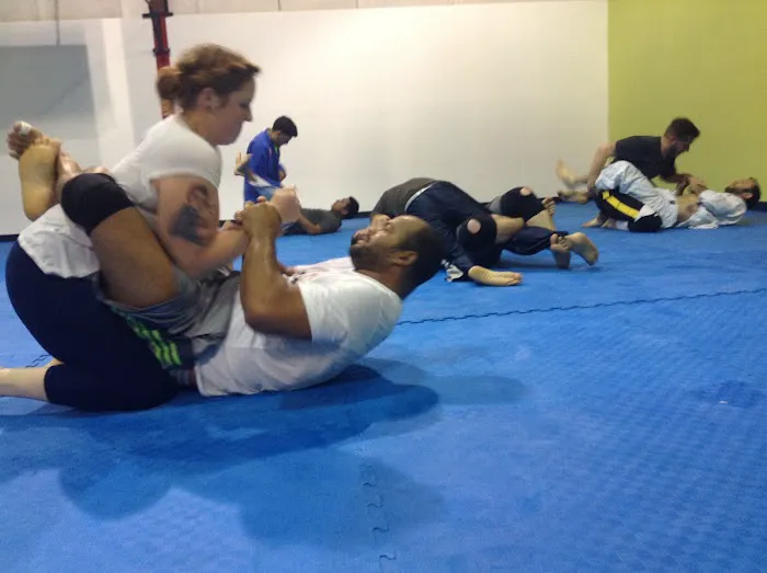Capoeira New Orleans Picture 4