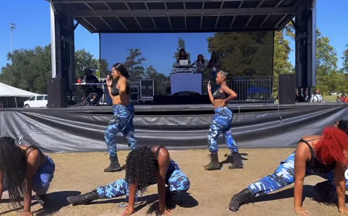 Thee Dance Konnection Dance Company Picture 6