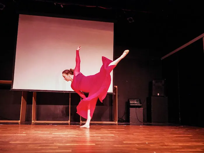 Artivism Dance Picture 5
