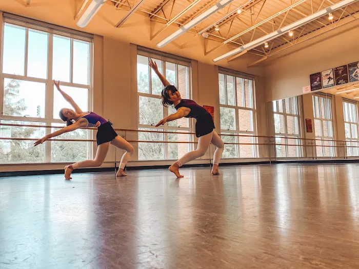 Metropolitan Dance Theatre Picture 1