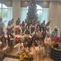 Hollywood Diamond Dancers LLC ico