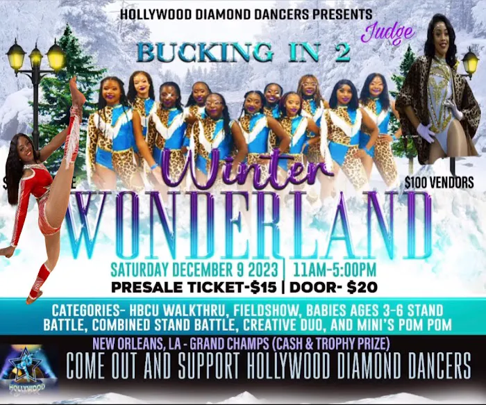 Hollywood Diamond Dancers LLC Picture 8