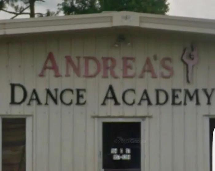 Andrea's Dance Academy Picture 2