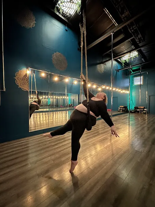 NOLA Pole & Aerials Picture 2
