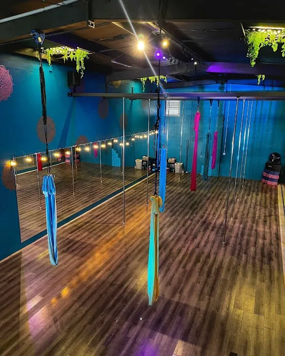 NOLA Pole & Aerials Picture 8