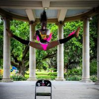 Des Select Few Dance Company, LLC ico