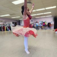 Art in Motion Dance Academy, LLC ico