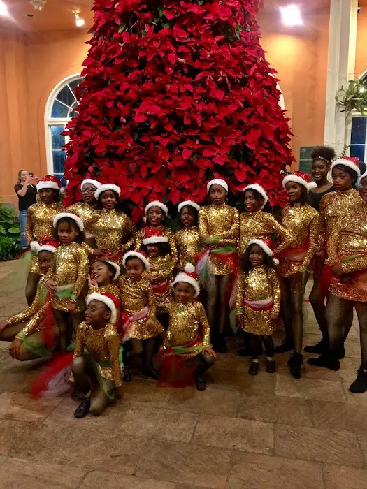 New Orleans East Satin Dolls Dance Drill Team Picture 8
