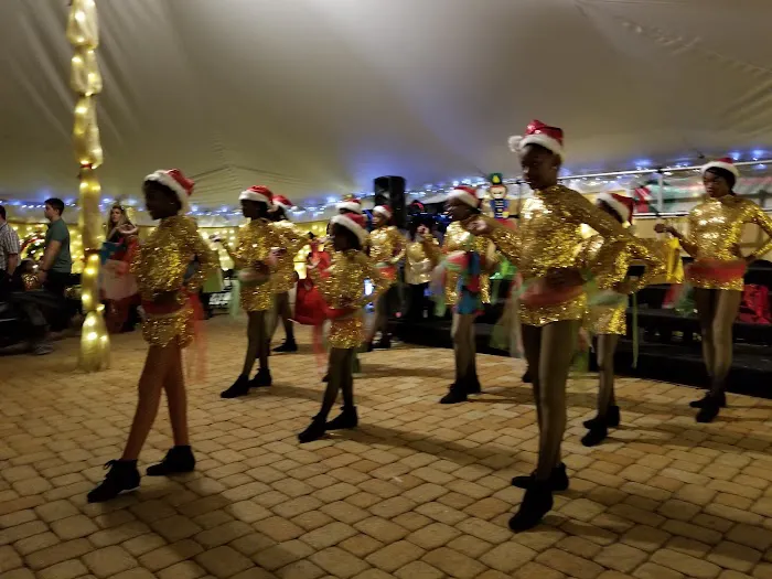 New Orleans East Satin Dolls Dance Drill Team Picture 6