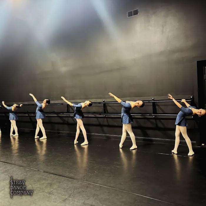 Stray Dance Company Picture 3