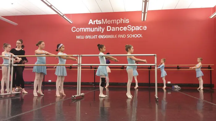 New Ballet Ensemble & School Picture 1