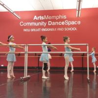 New Ballet Ensemble & School ico