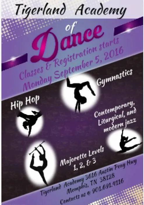 Tigerland Academy Dance Studio Picture 3