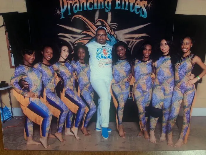 Tigerland Academy Dance Studio Picture 4
