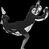 Tigerland Academy Dance Studio ico