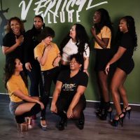Vertical Allure: Pole Dance and Fitness Studio ico