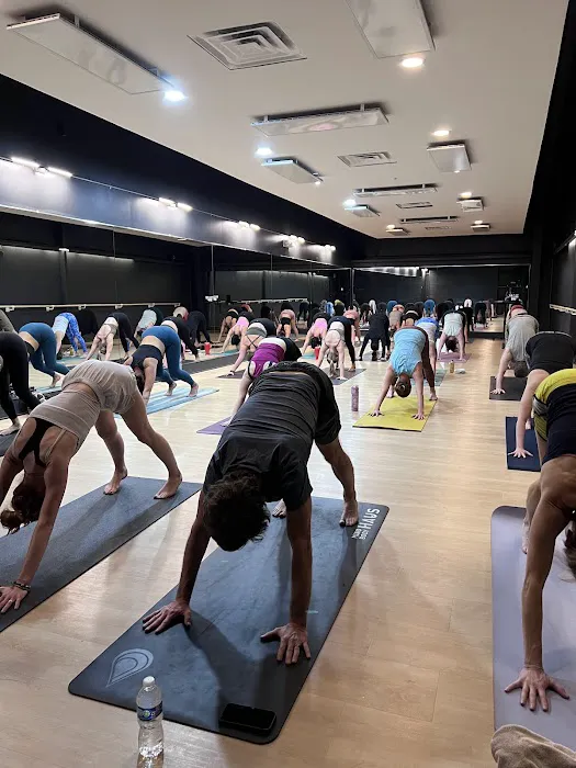 mind/body HAUS Picture 5