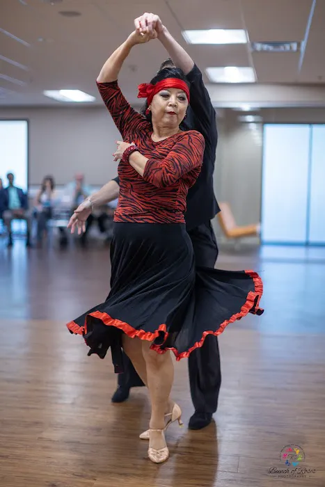 Dream Ballroom Academy Picture 5
