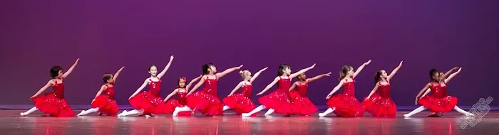 Dance Academy of Bartlett Picture 3