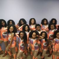 Memphis Tiger Divas ico