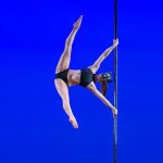 Catwoman Pole Academy