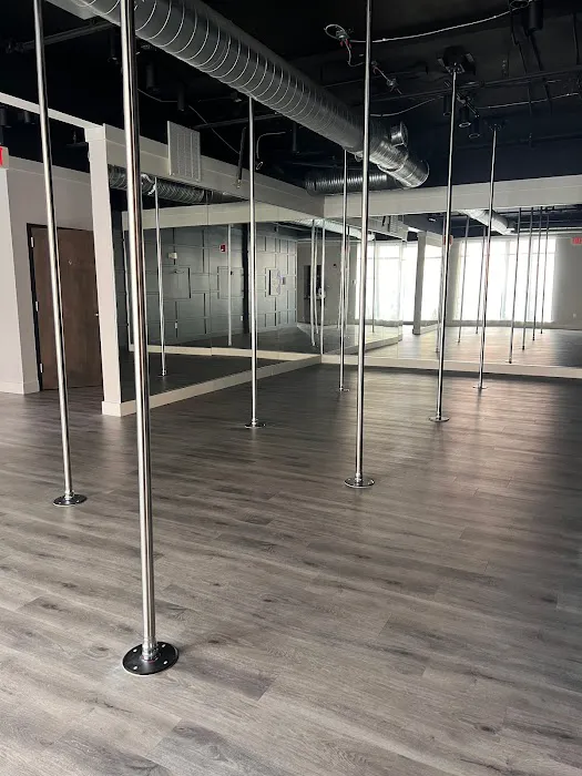 Catwoman Pole Academy Picture 7