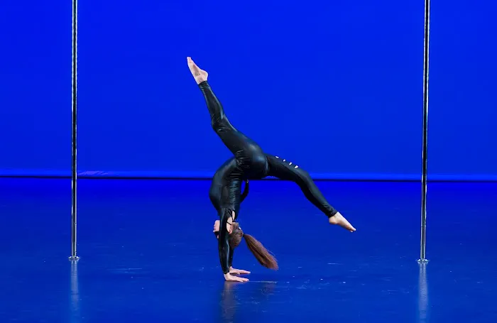 Catwoman Pole Academy Picture 2