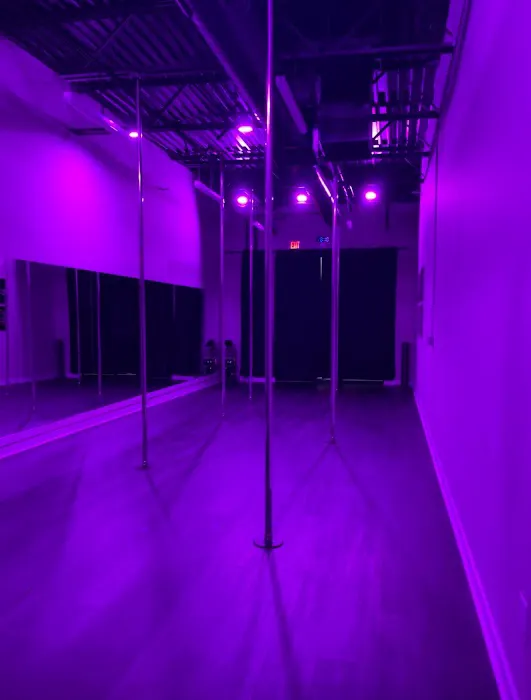 Pole Body & Arts Picture 4