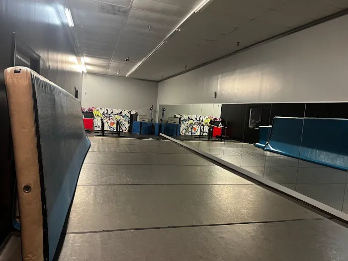 XLNC Dance Studio Picture 6