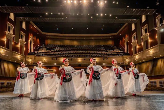 El alma de la luna Dance Academy Picture 7