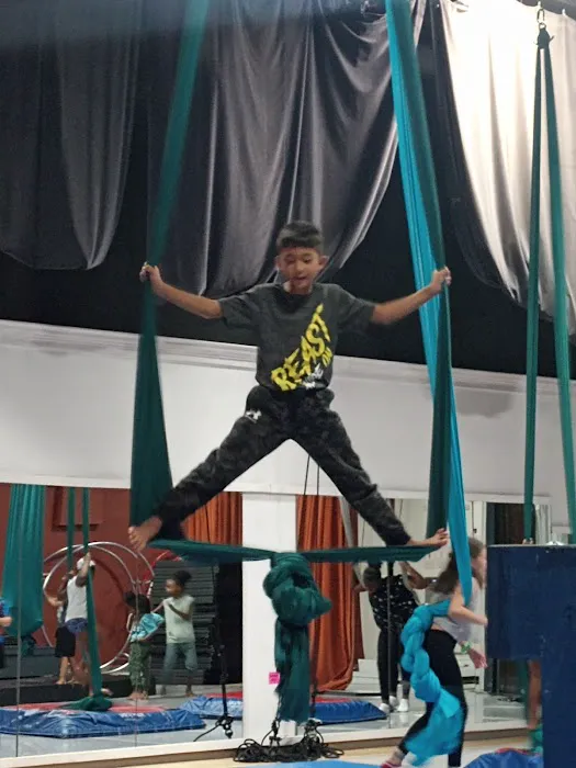 Charlotte Cirque & Dance Center Picture 3