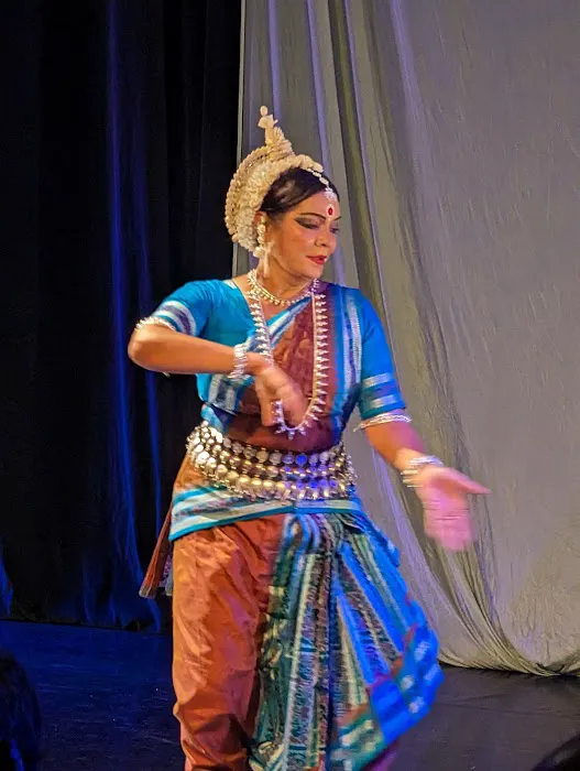 Charlotte Cirque & Dance Center Picture 6