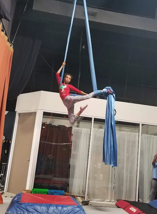 Charlotte Cirque & Dance Center Picture 4