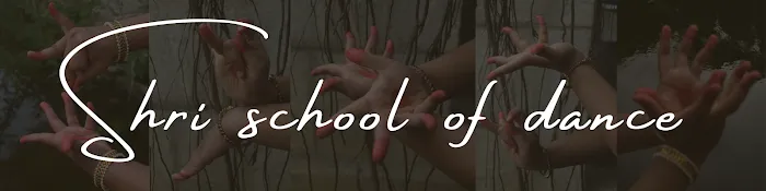 Shri School of Dance Picture 1