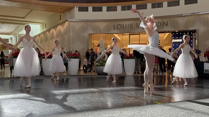 South Charlotte Ballet Company Picture 4