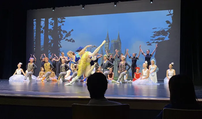 South Charlotte Ballet Company Picture 3