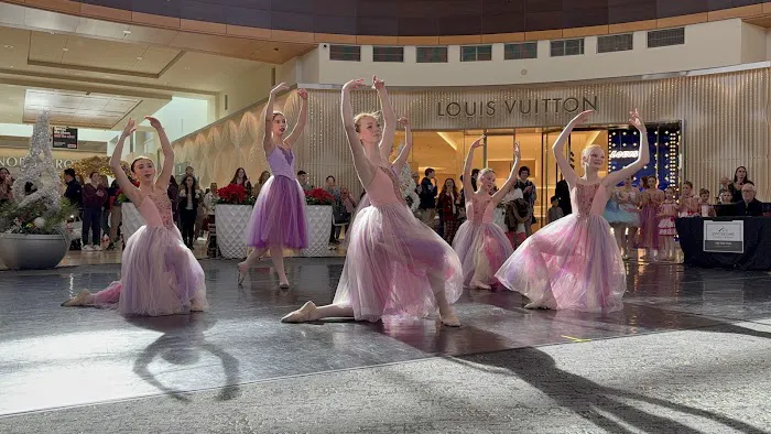 South Charlotte Ballet Company Picture 5