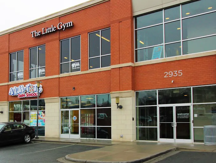 The Little Gym of Charlotte Picture 8