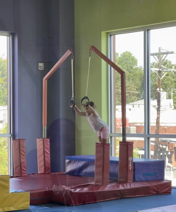 The Little Gym of Charlotte Picture 10