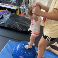 Fever Dance and Tumble ico