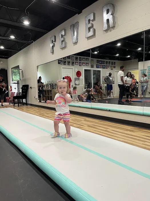 Fever Dance and Tumble Picture 2