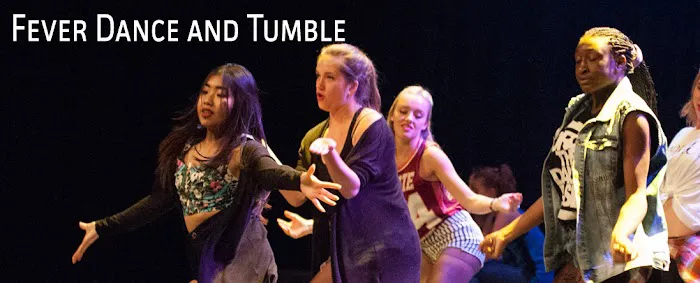 Fever Dance and Tumble Picture 7