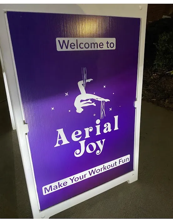Aerial Joy Picture 2