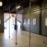 PoleFit Carolinas - Voted Best with Two Locations to Serve You ico