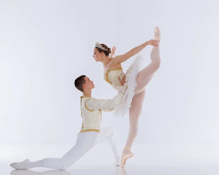 Academy of Dance and Fine Arts Picture 7