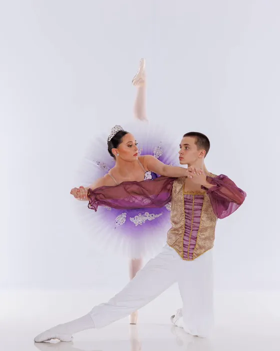 Academy of Dance and Fine Arts Picture 6