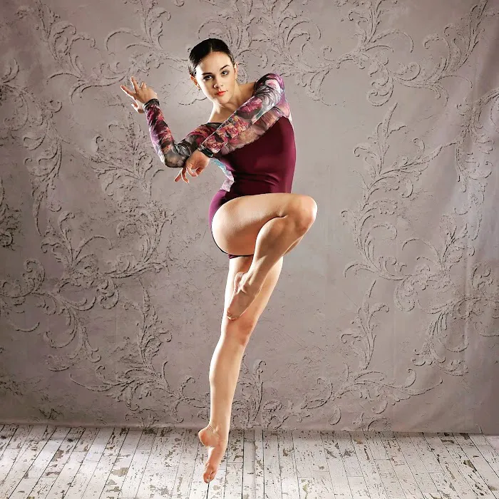 Academy of Dance and Fine Arts Picture 2