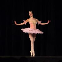 Academy of Dance and Fine Arts ico